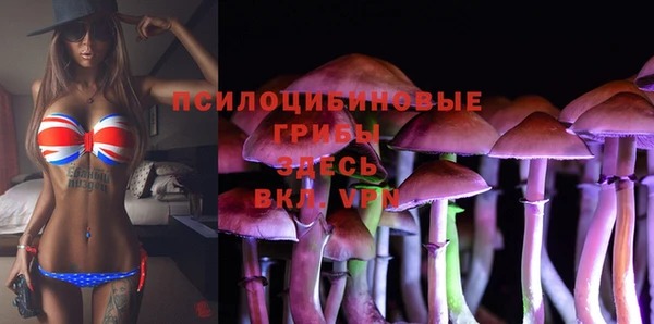 стаф Алексин