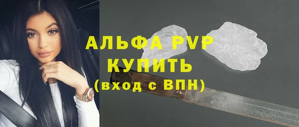 стаф Алексин
