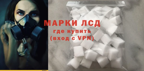 стаф Алексин