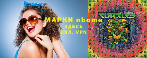 стаф Алексин
