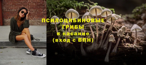 стаф Алексин