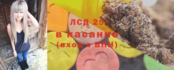 стаф Алексин